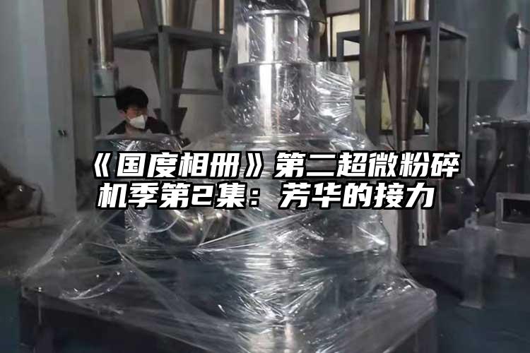 《国度相册》第二超微芭乐APP下载无限免费季第2集：芳华的接力